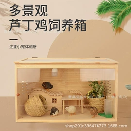 收纳架;盘;其他小宠用品
