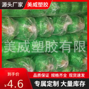 ����2 * 10Mֲ��֧�ܾW����W �p������͸���r�ÿ����������W��