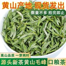 2024���²������Sɽë����~���l��ǰ����ë���ɽ��ѿ�G�����l�r