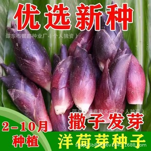 ԭ�bʳ�����ѿ�N���ļ��߲���ɹS��ɷN���ꖺ��󽪺����Ұ��