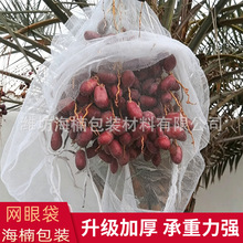 ���QҬ���W�۴� 90*110��ɫҬ����Ҭ�������ھW�� ͸�����Ҭ����