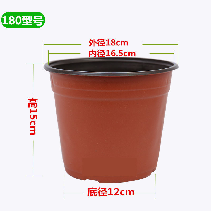 76e93a9a-b533-49a8-b2f9-867da2310ac6.jpe