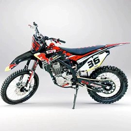 沙滩车;其他摩托车