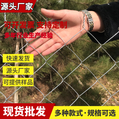 矿用菱形勾花网热镀锌铁丝网勾花防护网包塑六角网拧花养殖网厂家