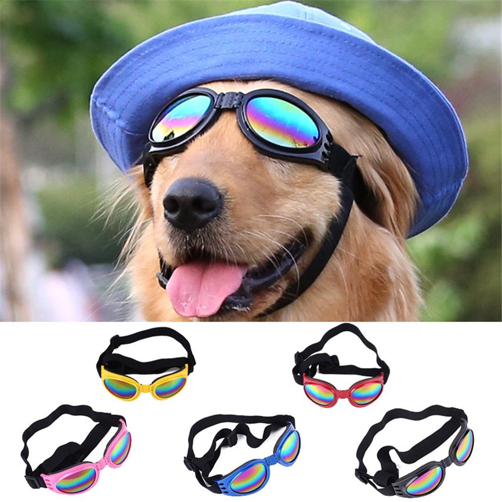 Simple Style Plastic Gradient Color Pet Accessories display picture 4