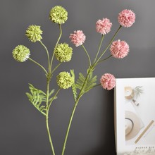 ���滨5���S���� �F�����s�ҾӘӰ��g��c�}�Q�OӋ�廨�b����l��