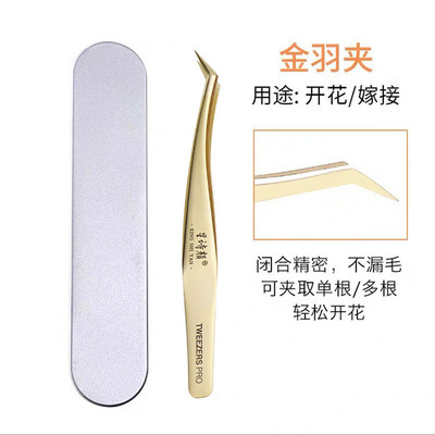 Golden feathers