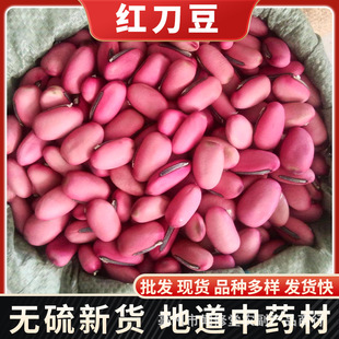 �t������ș�� ���N�䱳�浶�� �󵶶� �P�����R�����������ʹ��