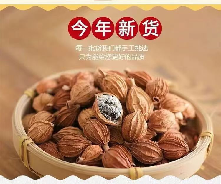 Xiang Sha Ren Fragrant Amomum 500g Sichuan Dried Culinary Herb for Braising Stews and Marinades key features