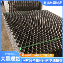 .宜鸿供应石油化工电厂窑炉龟甲网不锈钢耐高温加固龟甲六角网