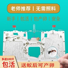 Λρ�Ǳ�����������Λρ���B����ρ��W���^�췱ֳ��ρ���C����ţ