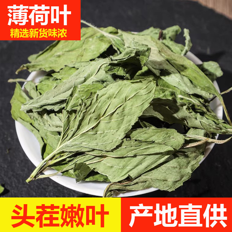 Mint leaves, Chinese herbal medicine, 500g of authentic wild medicinal mint leaves, suitable for making tea and for consumption, mint leaf powder