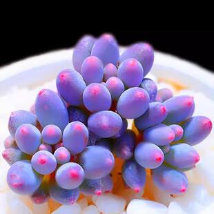 ¿¶҃ԶֲϡжֲƷN