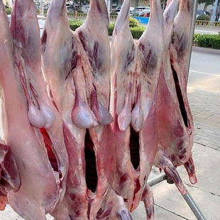 ���r����F����ȫ����ֻ��חl��ȫ�����������������l����