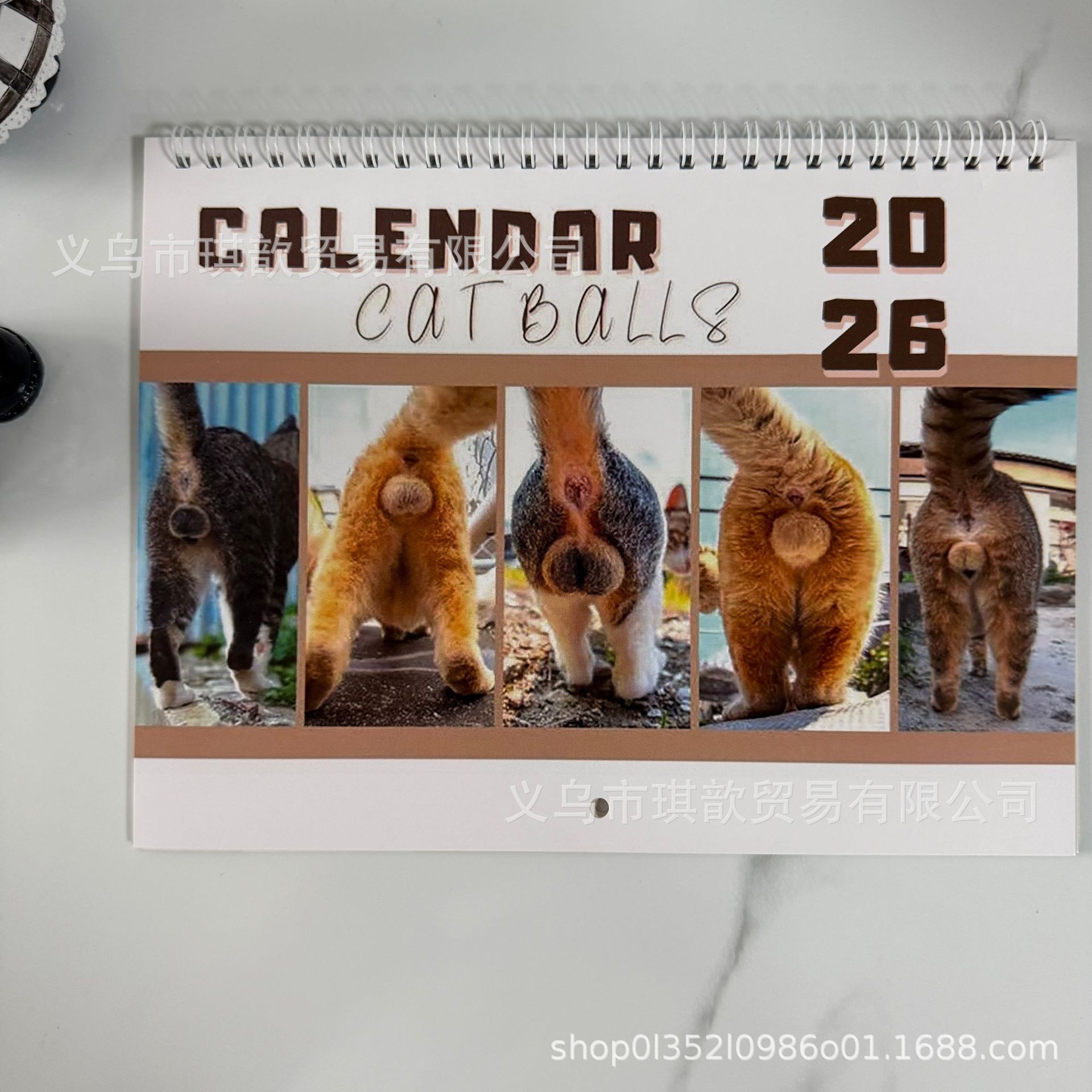 고양이 엉덩이 다섯 개