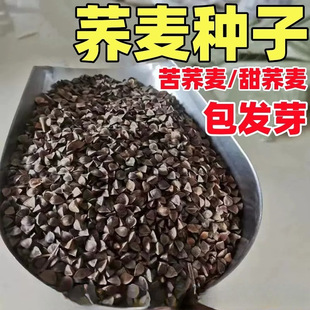 ߮awNӃ|ԴwNӺwNӿwNļNֲ