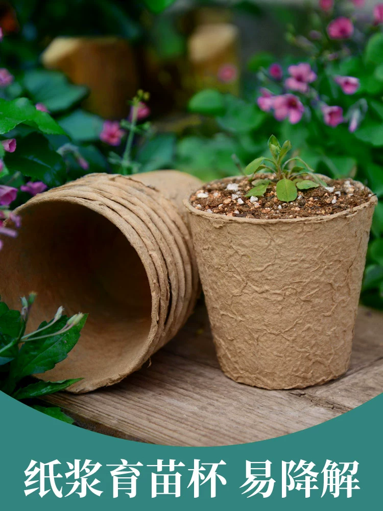 Разлагаемая чашка для рассады