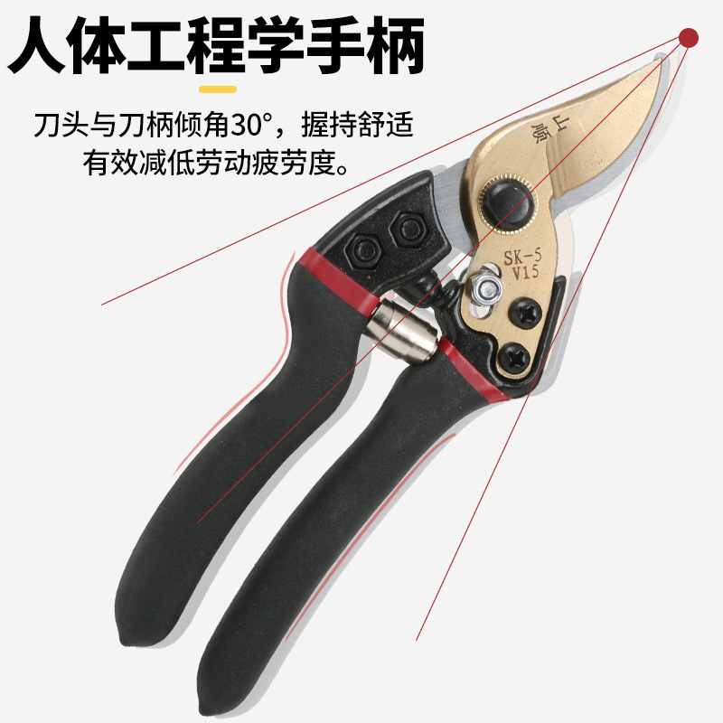 輸入刀頭sk5鋼の枝ハサミは強力に太い枝を切ります。|undefined