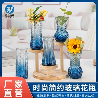 简约玻璃花瓶渐变时尚桌面插花摆件绿植干花鲜花花瓶客厅氛围装饰