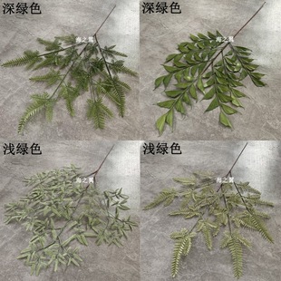 ��c����Gֲ ���x�Ĳ� �����~�~β�ݻ�Y�ñ����b廨������l