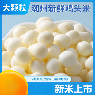 �������ժ���u�^�����r�K���͌� ���Ǯ����Č� ����500g