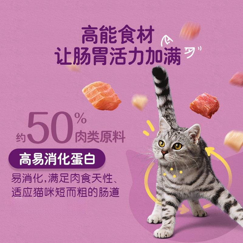 Alimentos para gatos adultos para gatos jóvenes para aumentar el peso, alimento general, carne de res, sabor a salmón, sabor a pescado marino, 300g.