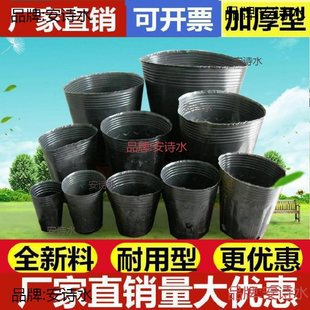 ��ľ���I�B��һ�����豭����Ѩ�P���ϴ�N��ڰ�Ĥ������Nֲ�辰