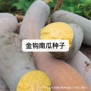 ���h�ϹϷN�����Ŵ����ͥԺ �S���ϹϷN���Ϲ�Ʒ�N��ȫ�߲�