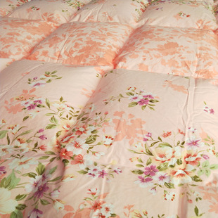 ȫ60֧ؕĥëӡqƷӱů@L