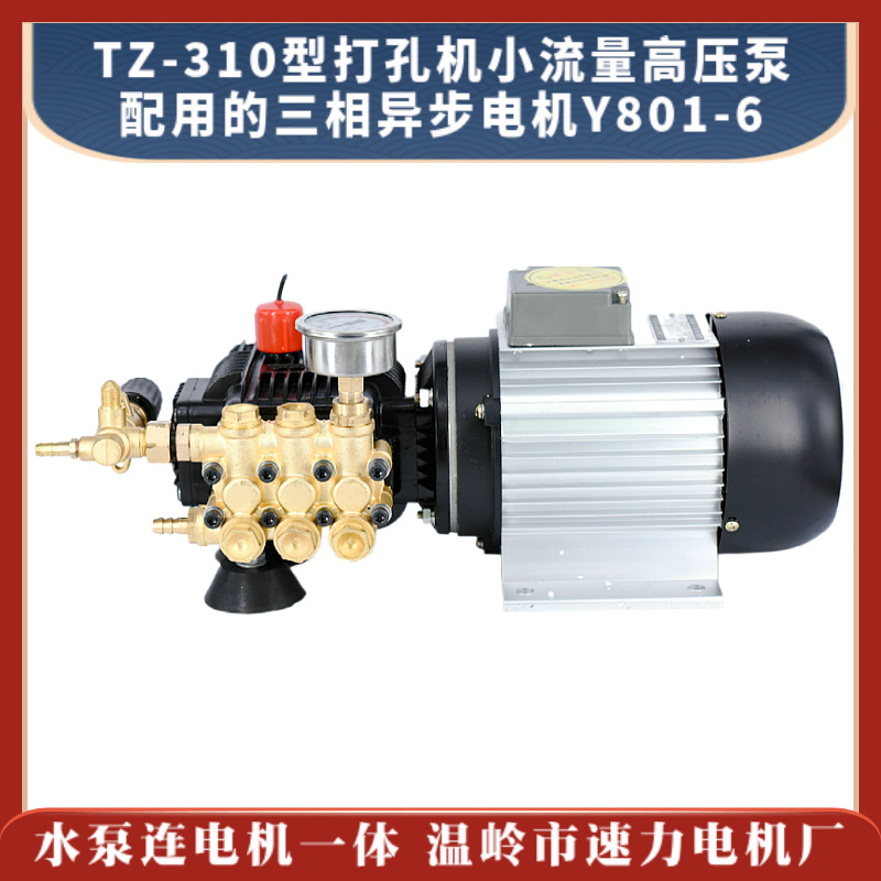 TZ-310型打孔机小流量高压泵水泵连电机一体三相异步连体泵Y801-6