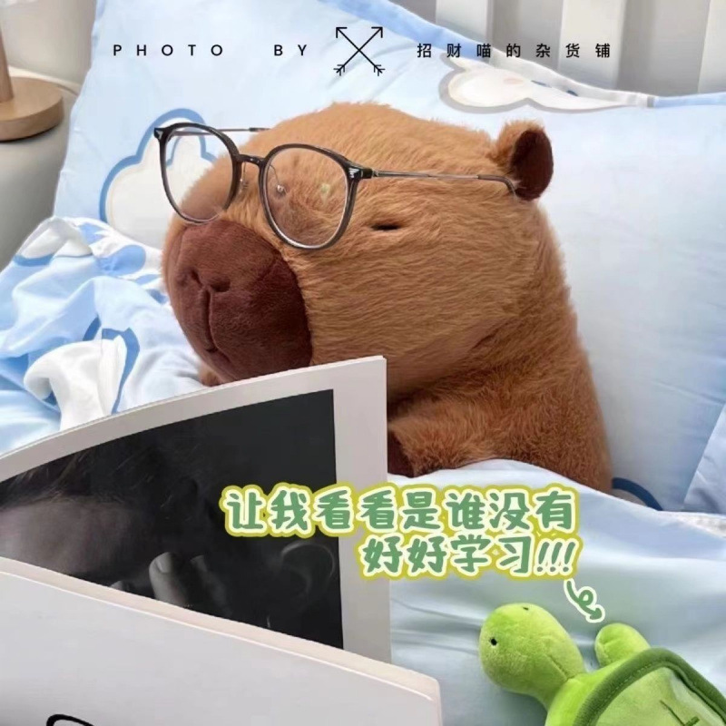 Muñeca capibara de tamaño super grande peluche lindo muñeca delfín de aguas feas muñecas creativas para regalos de chicas