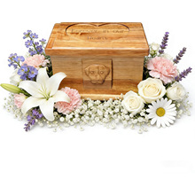 ľ�|؈������ǻ��ռ{��С�����ײĺЌ�ľ�����ǻҺз��wľ��