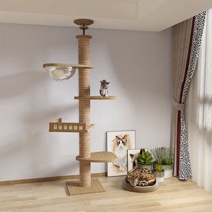 ͨ����؈���ܴ���؈�e��؈�C؈��̫��œ؈���һ�w��ռ�،�ľ��̨