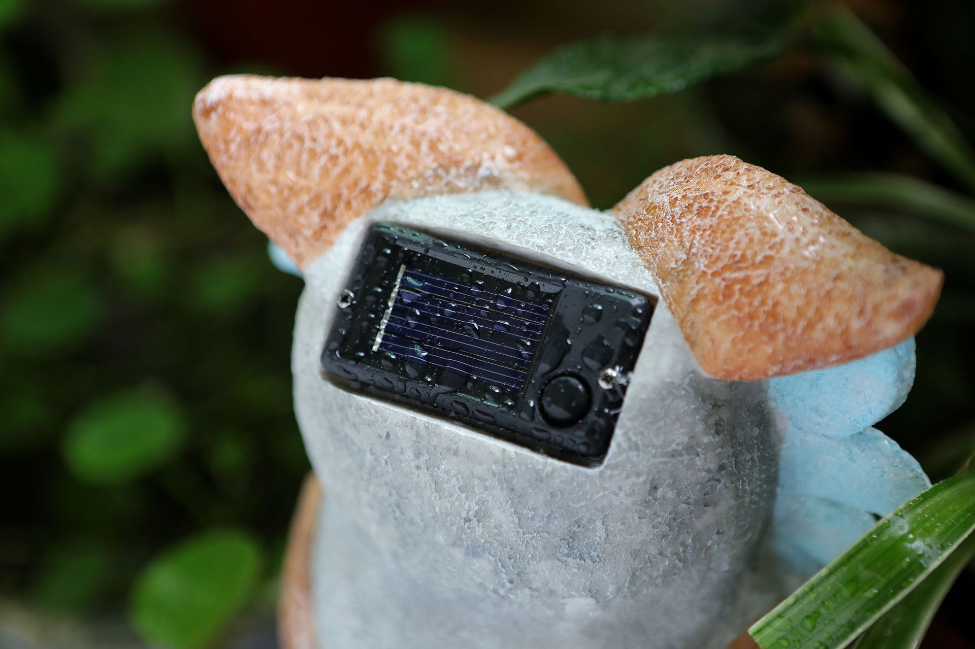 猫头鹰详情图 (1).jpg