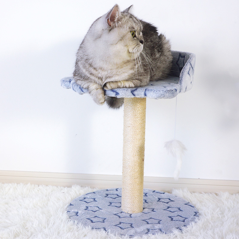 Cat Climbing Frame Small Elastic Rat Cat Toy Cat Jumping Platform Integrated Comfortable Printed Velvet Sisal Cat Scratching Post Cat Supplies