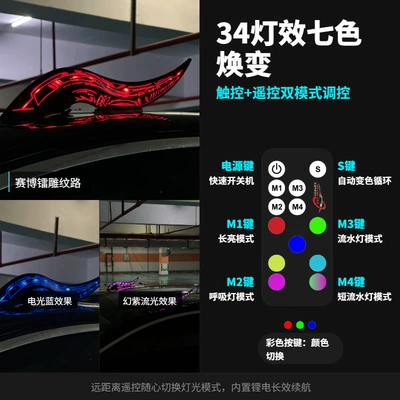 Other Car Modifications – Roof Decoration, Supplied by Manufacturer