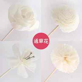 通草干花无火香薰ins简约装饰挥发藤条熏香diy配件家居香氛扩香棒
