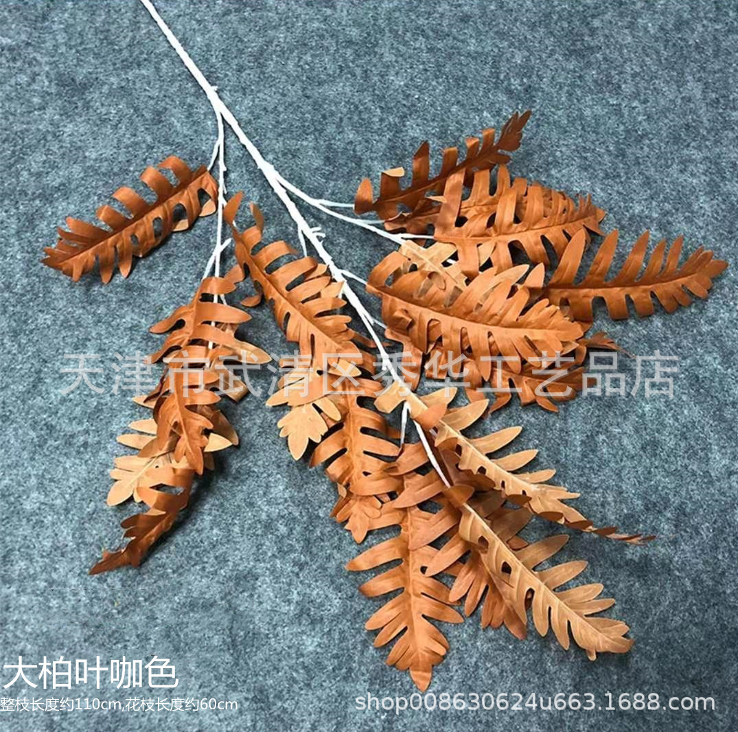 큰 노송 나무 잎