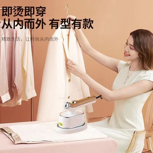 The Yangzi Rotatable Handheld Wet and Dry Iron with Three-Level Temperature Adjustment, Household Mini Folding Iron
