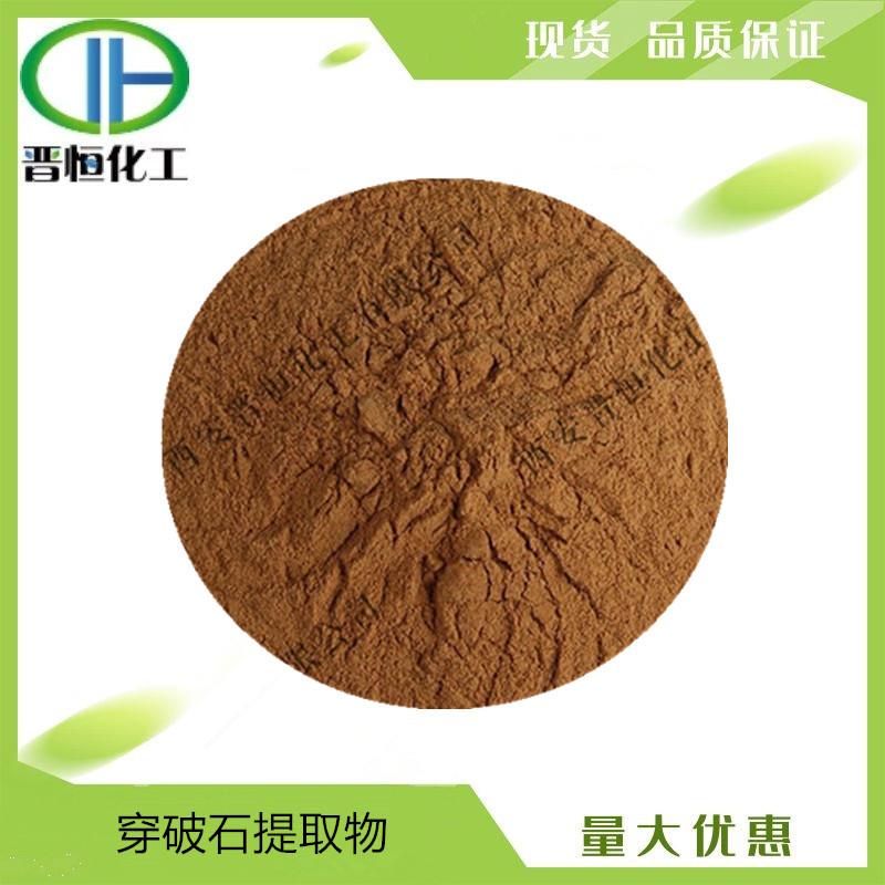 穿破石提取物比例提取水溶穿破石粉末 1KG起订 现货