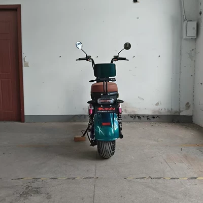 high-speed adult electric vehicle, personal – Elektrikli motosikletlər