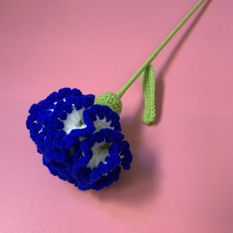 다크 블루 화이트