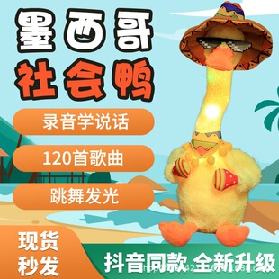 �¿�ī�����L��u�[�S���ӶY��늄ӹ���ë�q������������W�fԒ