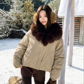 贸女冬季毛领羽绒棉女冬季小个子洋气时尚面包服短款加厚棉衣外套