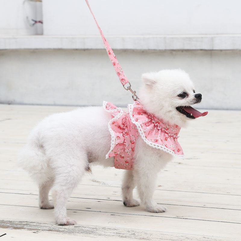 Cute Polyester Ditsy Floral Leash display picture 8