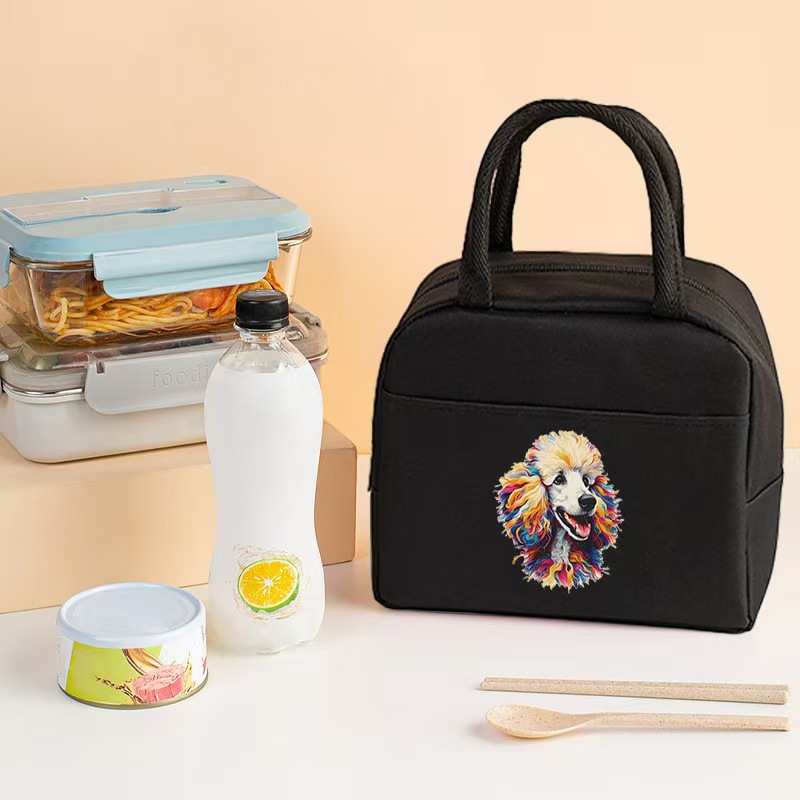 Bolsa aislante impresa transfronteriza Bolsa de almuerzo de trabajo Bolsa de hielo de papel de aluminio portátil Bolsa de almacenamiento de almuerzo para estudiantes Bolsa bento de picnic