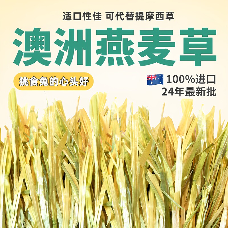 Hand-picked Australian oats, 500g, imported Australian golden oats, hay for rabbits, high-fiber food for chinchillas and guinea pigs Hand-picked Australian oats, 500g, imported Australian golden oats, hay for rabbits, high-fiber food for chinchillas and guinea pigs