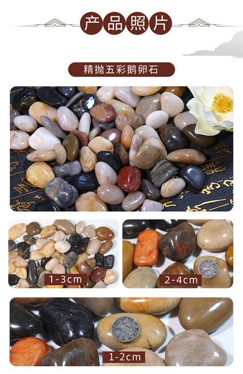 f9c1b8c1-787d-47d6-8f03-0763eb99fe58.jpe