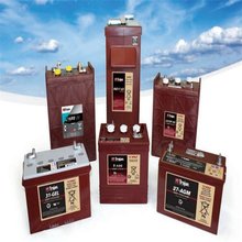 Trojan 动力铅酸蓄电池T105-AGM6V230AH观光车旅游车专用电瓶