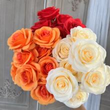 9�^����õ�� ���^����õ�廨 ��c�����b������Q���ڏS�����l